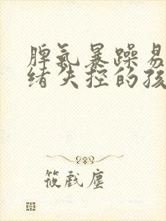 脾气暴躁易怒情绪失控的孩子