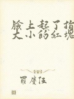 脸上起了指甲盖大小的红块