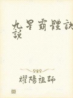 九星霸体诀 小说