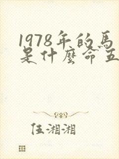 1978年的马是什么命五行属什么