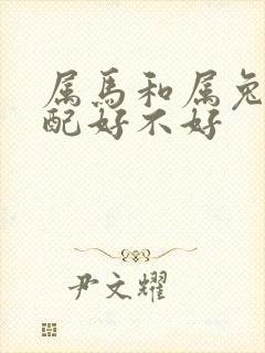 属马和属兔的婚配好不好