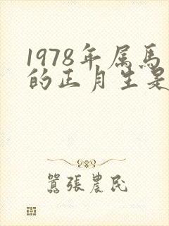 1978年属马的正月生是什么命