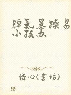 脾气暴躁易怒的小孩办