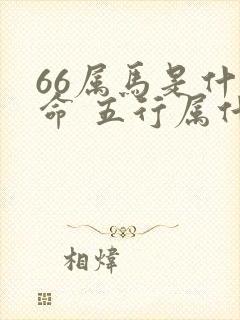 66属马是什么命 五行属什么