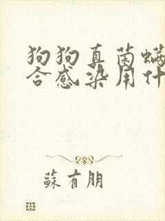 狗狗真菌螨虫混合感染用什么药最好