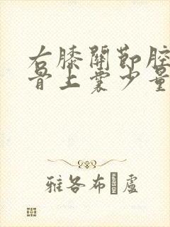 右膝关节腔及髌骨上囊少量积液