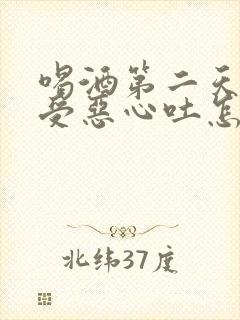 喝酒第二天胃难受恶心吐怎么办