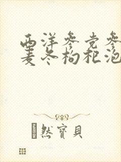 西洋参党参黄芪麦冬枸杞泡水喝功效