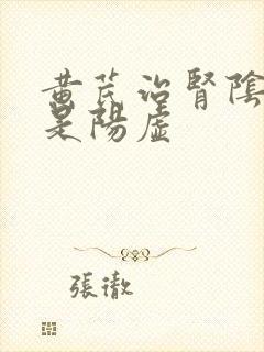 黄芪治肾阴虚还是阳虚