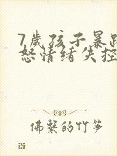7岁孩子暴躁易怒情绪失控有暴力倾向