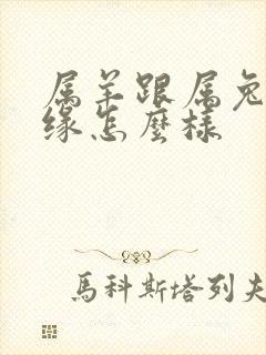 属羊跟属兔的姻缘怎么样