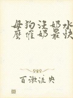 母狗没奶水吃什么催奶最快呢