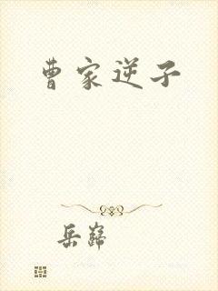 曹家逆子