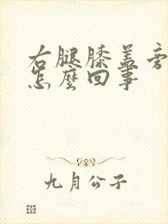 右腿膝盖旁边疼怎么回事