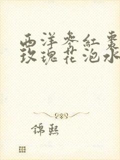 西洋参红枣枸杞玫瑰花泡水喝的功效