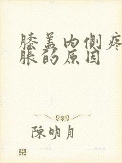 膝盖内侧疼痛肿胀的原因封面