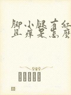 脚小腿有红点并且痒是怎么回事封面