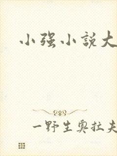 小强小说大全