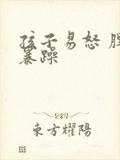 孩子易怒 脾气暴躁