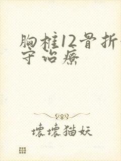 胸椎12骨折保守治疗