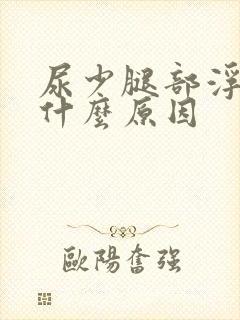 尿少腿部浮肿是什么原因