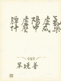 脾虚阳虚气虚吃什么中成药封面