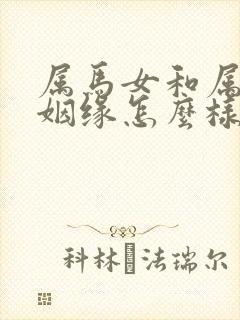 属马女和属羊男姻缘怎么样