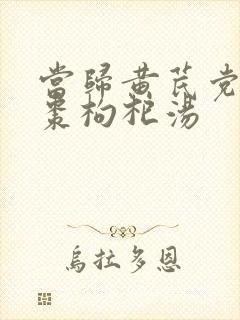 当归黄芪党参红枣枸杞汤