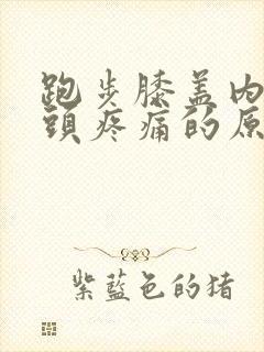 跑步膝盖内侧骨头疼痛的原因