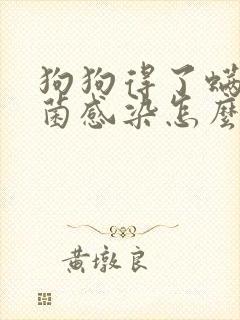 狗狗得了螨虫真菌感染怎么办封面
