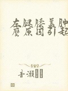 左腿膝盖肿痛什么原因引起的