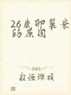 26岁卵巢衰退的原因封面