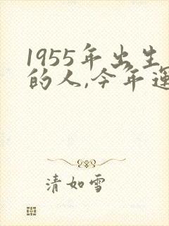1955年出生的人,今年运气怎么样封面