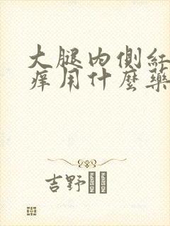 大腿内侧红斑瘙痒用什么药
