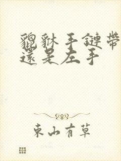 貔貅手链带右手还是左手封面
