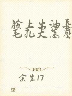 脸上出油长痘痘毛孔大怎么办
