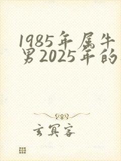 1985年属牛男2025年的财运