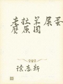 老拉羊屎蛋是什么原因