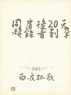 同房后20天b超能看到孕囊吗