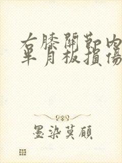 右膝关节内外侧半月板损伤1级