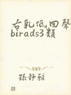 右乳低回声结节birads3类