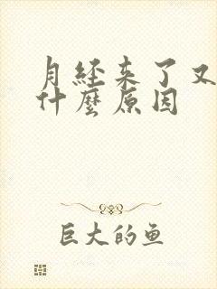 月经来了又来是什么原因