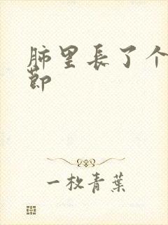 肺里长了个小结节