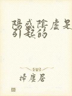 阳盛阴虚是什么引起的