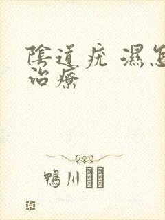 阴道疣 湿怎么治疗