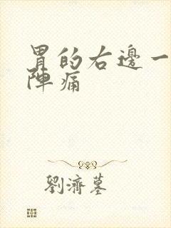胃的右边一阵一阵痛封面