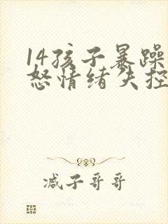 14孩子暴躁易怒情绪失控有暴力倾向
