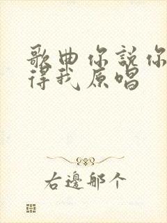歌曲你说你会记得我原唱