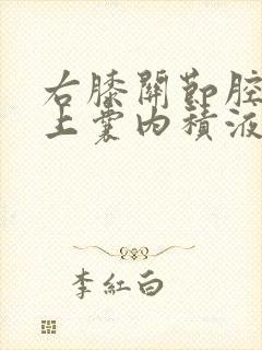 右膝关节腔及髌上囊内积液封面