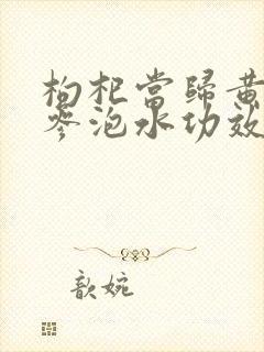 枸杞当归黄芪党参泡水功效